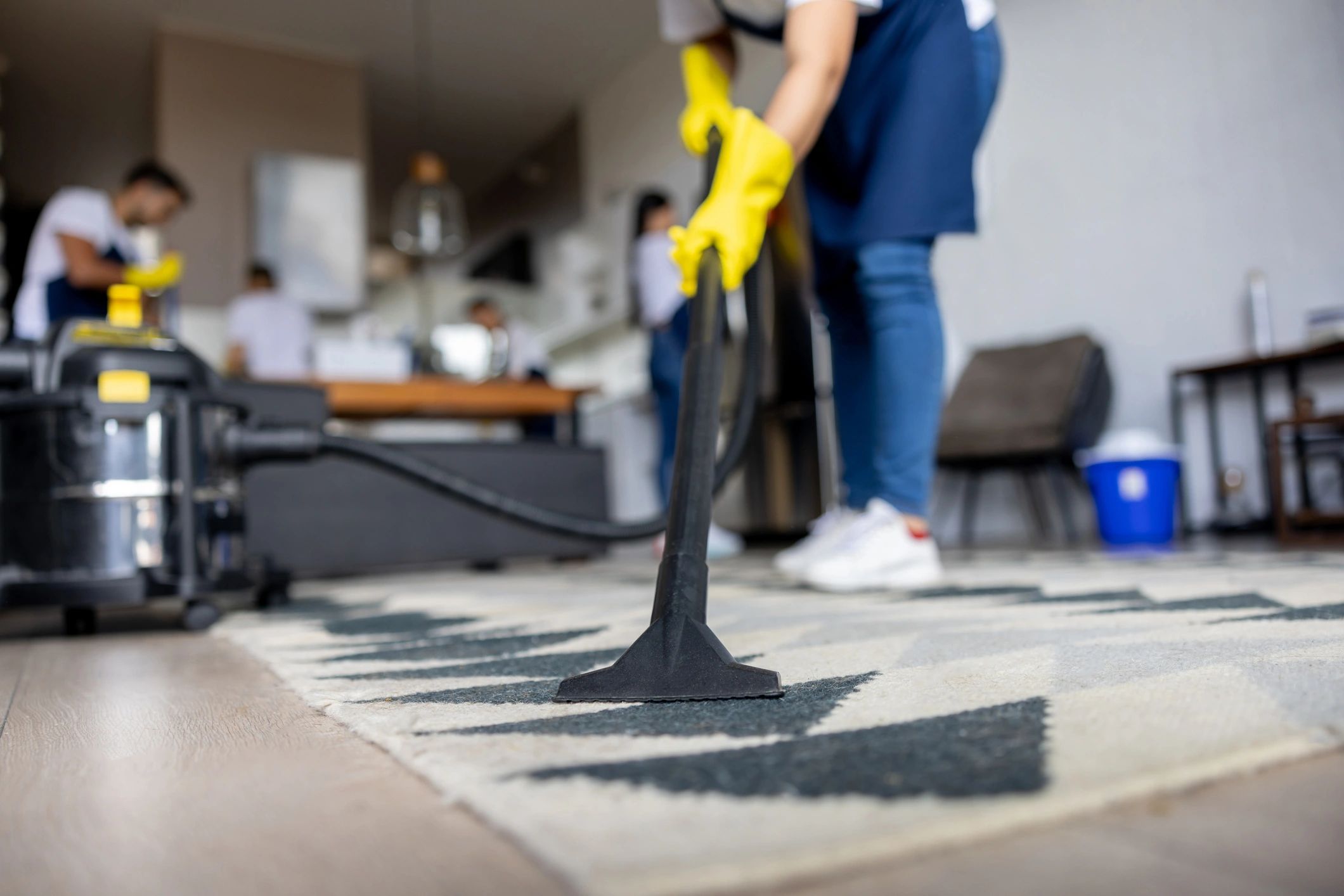 Professional cleaning team at work